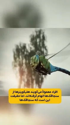 آیا هلیکوپترها از سنجاقک‌ها الهام گرفته‌اند؟