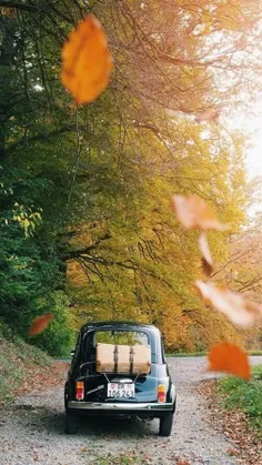 #Car 🚘 🍁