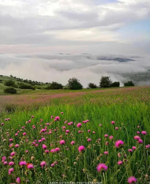 رمضان کریم جـمیـݪ رائـع روعــہ ابــداع خاص قشنگ هنری بینظ