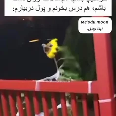 😂حق‌تا‌ابد