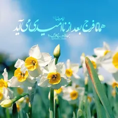 #لبیک_یامهدی #ظهور_نزدیک_است #لبیک_یا_مهدی #لبیک_یاحسین #