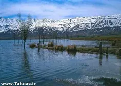 لایک نمیکنید من را؟