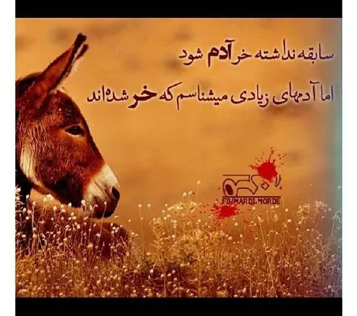 مگه نه؟