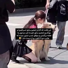#لسرافیم 