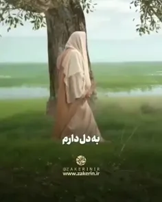 یا صاحب الزمان