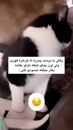 این خیلی بدههههههههه  اصلا چرا حرصو درمیارههههههه