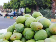 هرمزگان واسه همه انبه هات مرسی