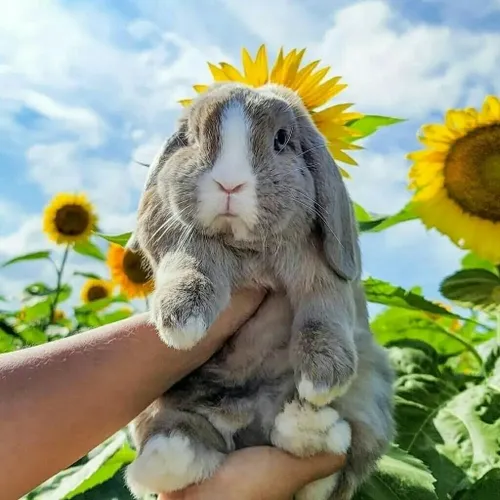 از لحاظِ روحی نیاز دارم یه چشم ابرو مشکی،سر به زیر، از ای