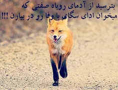 عکس نوشته amir.irani33 24047162