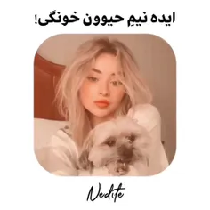 ایده نیم حیوون خونگی🗿🥺🙂