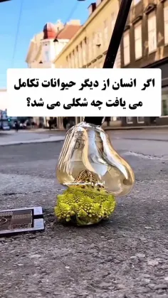 #دانستنی #دانستنیها