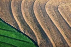 عکس های هوایی از مزارع کشاورزی (4)