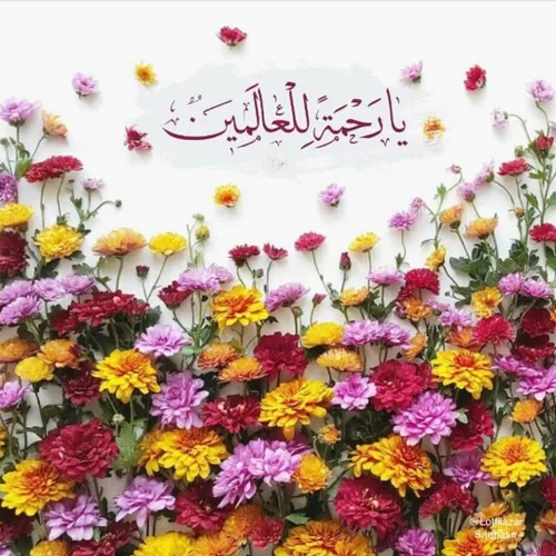 🌹امشب که شب مبعث احمد باشد