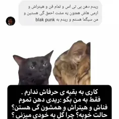 فقط عاشق بلک پینک نوشتنشم🤣