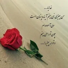 sogandam_76_13 74658486