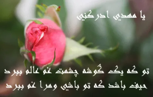 بسیج سایبری