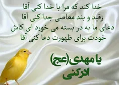 السلام علیک یا ابا صالح المهــــــدی (عج )