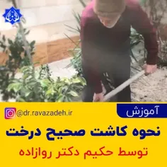 🌳 آموزش کاشت صحیح درخت میوه توسط حکیم دکتر روازاده