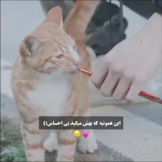 قلبم:)