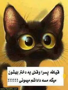 طنز و کاریکاتور hounam 1124058