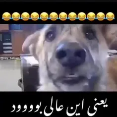 وقتی طلبکارام میان درخونه 😂😂😂