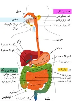 بدون شرح