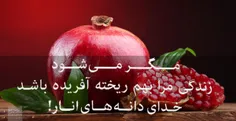 🍎  مگر می شود زندگی مرا به هم ریخته آفریده باشد 