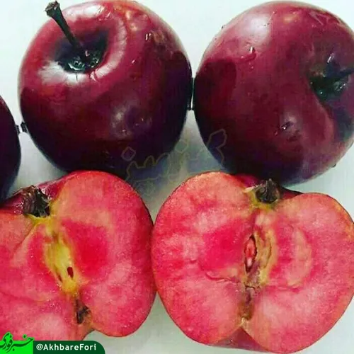 🔸 سیب توسرخ شاهرود، نادرترین گونه سیب دنیا