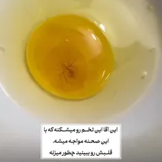 واییی😍🐣😍