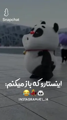 😂💃🐼