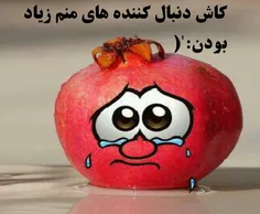 ای کاش منم مثه بعضیا یه عالمه دنبال کننده داشتم:-(