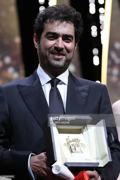 شهاب حسینی نخل طلای بهترین بازیگر مرد را از فستیوال کن 20