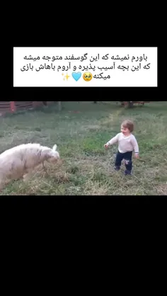 درک این گوسفند از بعضی آدما بیشتره🥹