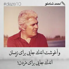 #احمد_شاملو