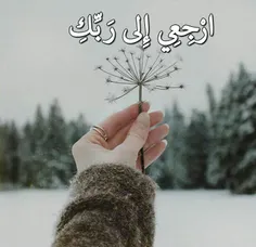 ✨ ﷽✨ 💙 🍃