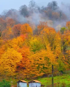 کوچ پاییزی در  شمال ایران ، ماسوله زیبا 🍁🌹