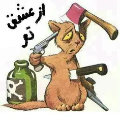 آخر عاقبت عاشقی