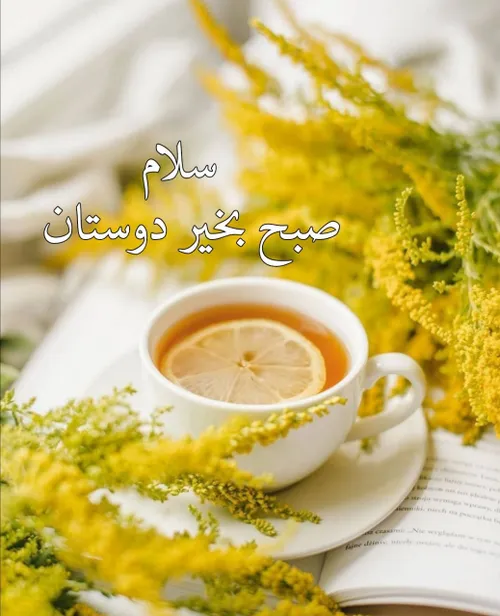 سلااااام صبح بخیر دوستان ☕️🌼