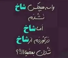 عکس نوشته ay_lin 33141527