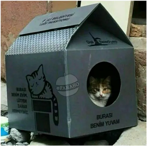در ترکیه خانه هایی به شکل بالا برای گربه های ولگرد و بی خ