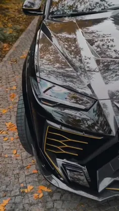 Lamborghini urus mansory