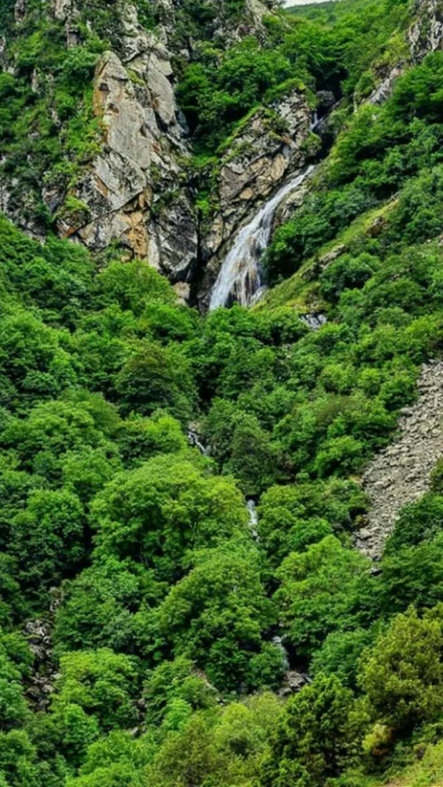 دور نمایی زیبا از