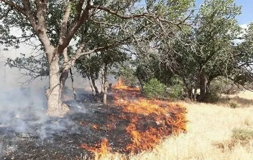 ئەگەر جەستەی لە بازنەی ئاگرین بگرن