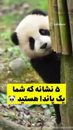 هر پنج نشونه اش هم دارم 🐼🦦🐾