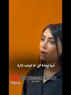 عجب مثال باحالی زدش😂✋🏼 به کلاغای اطرافتون توجه نکنید