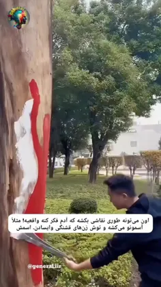 هنرنمایی ژان شیائو یوآن