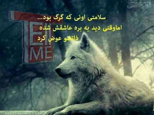 این جور ادما کم پیدا میشن