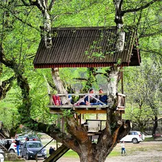 خونه درختی پارک جنگلی ماسوله