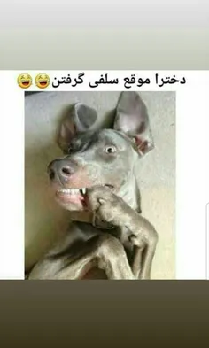 #اقای_چت