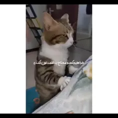 😂👍واقعن خدانکنه ادم محتاج شه